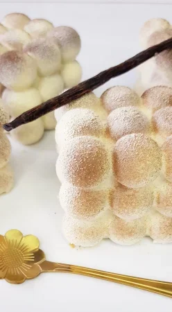 Entremet vanille et chocolat