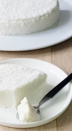 Gâteau crémeux coco TM