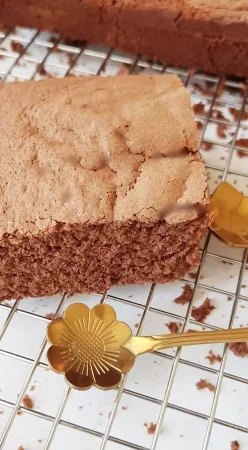 Moelleux au chocolat
