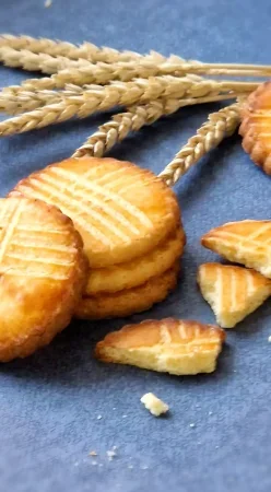 Biscuits bretons