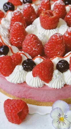 Gâteau mousse aux fruits rouges