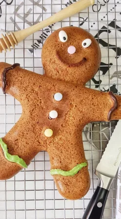 Bonhomme pain d'épices