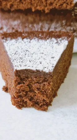 Gâteau au chocolat au micro onde
