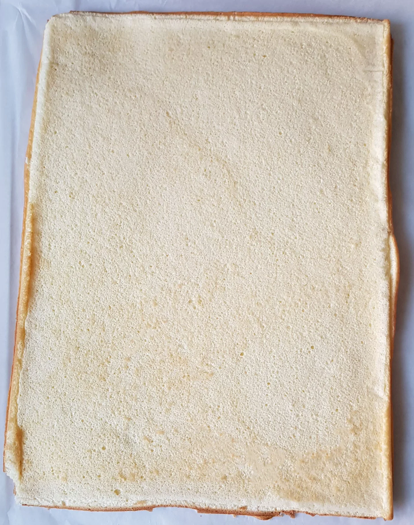 Biscuit